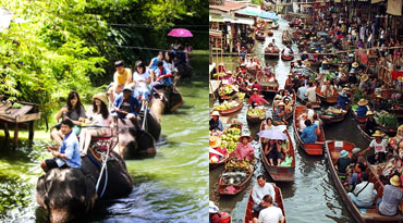 EXB011 - Damnoen Saduak Floating Market & 25 Min. Elephant Riding (no-lunch, half day)