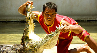 EXB014 - Damnoen Saduak & Crocodile Farm with Elephant Theme Show (with Halal buffet Lunch)