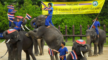 EXB032 - SAMPRAN Elephant Ground & Zoo / Crocodile Farm and Elephant theme show (no lunch, afternoon)