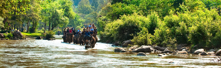 Mea Taman Elephant Safari