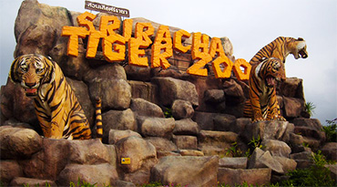 Sriracha Tiger Zoo (Ticket Only)