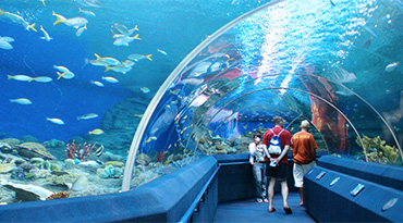 Underwater World Pattaya (half day)