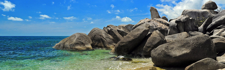 Samui island City tour (half day)