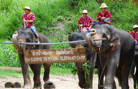 Chiang Mai